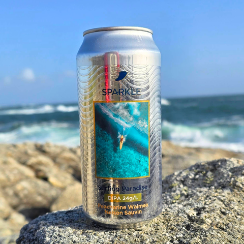 Surfing Paradise