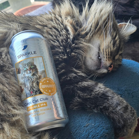 Cool Cat Club ✧ Sparky