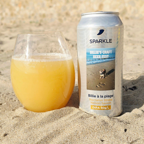 Billie à la plage V2